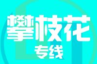漳州到攀枝花物流专线-漳州至攀枝花货运公司
